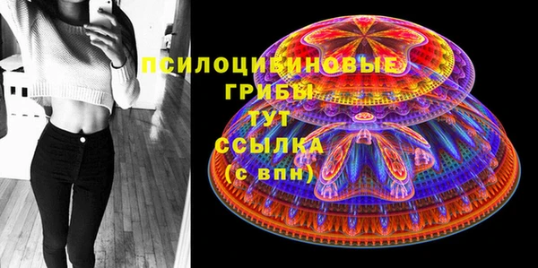 apvp Баксан
