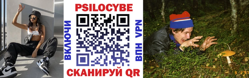 кракен маркетплейс  Кстово  Псилоцибиновые грибы мицелий  где можно купить  